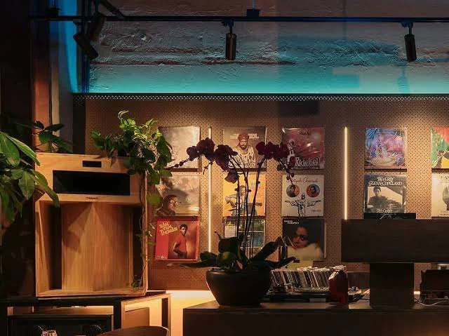 Record sleeves displayed in a row along a perforated wall under a strip of teal neon, with a wooden speaker cabinet, trailing plants and an orchid in the foreground.